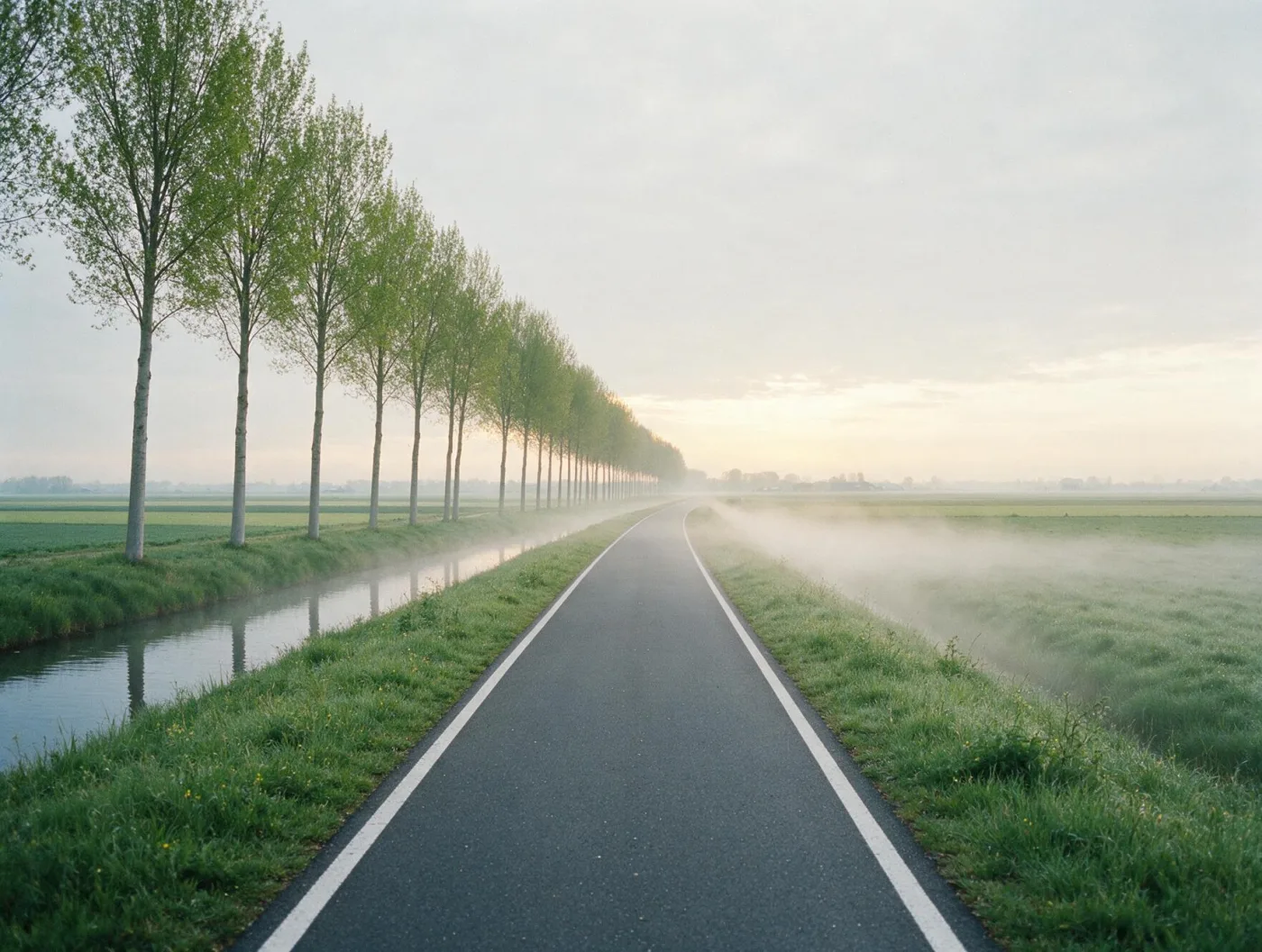 The Thursday road route: an empty cycle path through the polder at first light.