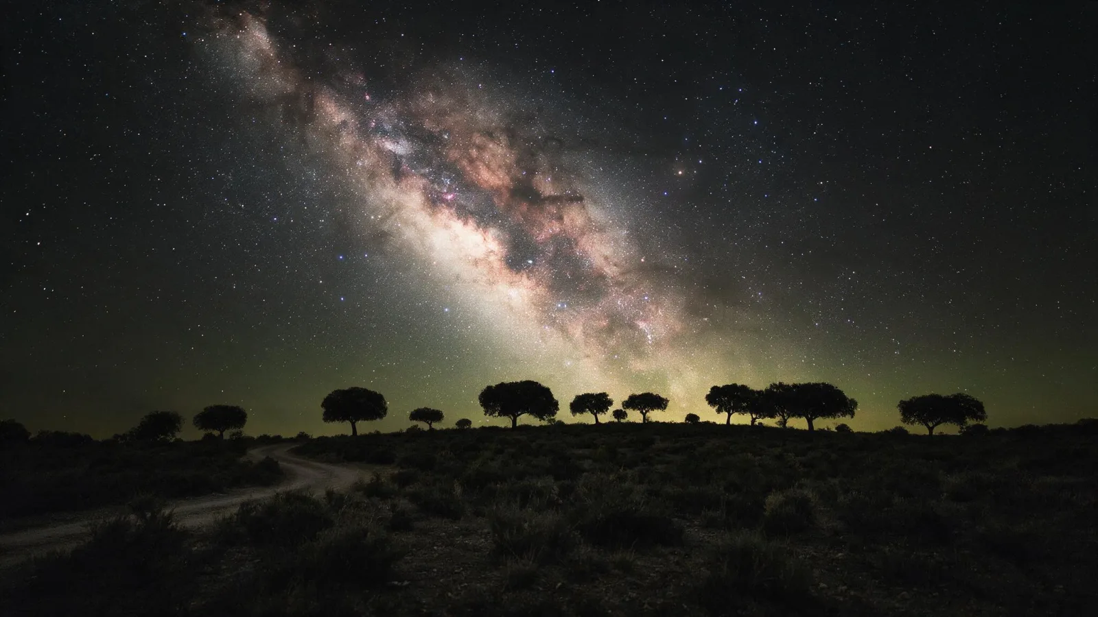 The Milky Way over a low ridge of holm oaks in the Cabañeros dehesa, with a dirt track leading into frame.